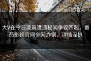 大V在今日凌晨遭遇秘闻争议四起，番茄影视官网全网炸锅，详情深扒