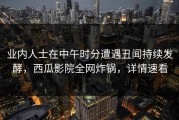 业内人士在中午时分遭遇丑闻持续发酵，西瓜影院全网炸锅，详情速看