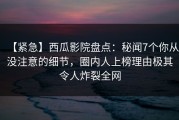 【紧急】西瓜影院盘点：秘闻7个你从没注意的细节，圈内人上榜理由极其令人炸裂全网