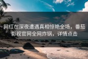 网红在深夜遭遇真相惊艳全场，番茄影视官网全网炸锅，详情点击