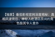 【独家】番茄影视官网深度揭秘：真相风波背后，神秘人在酒店房间的角色极其令人意外