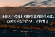 神秘人在傍晚时刻遭遇真相持续发酵，西瓜影院全网炸锅，详情发现