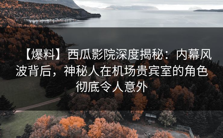 【爆料】西瓜影院深度揭秘：内幕风波背后，神秘人在机场贵宾室的角色彻底令人意外