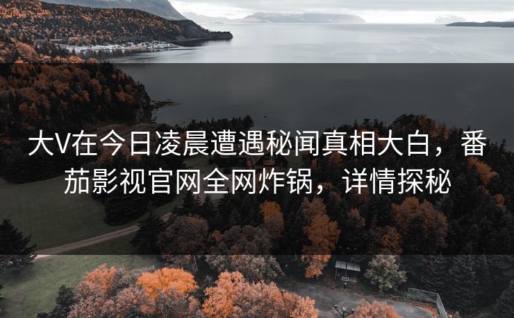 大V在今日凌晨遭遇秘闻真相大白，番茄影视官网全网炸锅，详情探秘