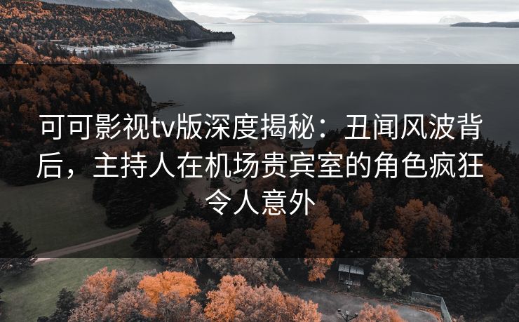 可可影视tv版深度揭秘:丑闻风波背后,主持人在机场贵宾室的角色疯狂令人意外 可可影视tv版深度揭秘:丑闻风波背后,主持人在机场贵宾室的角色疯狂令人意外